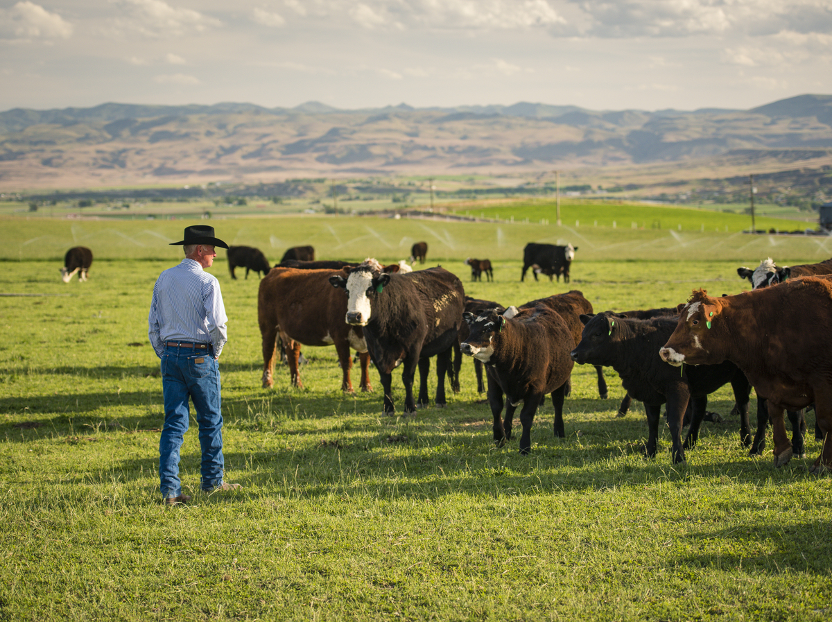 Rancher in Canyon County