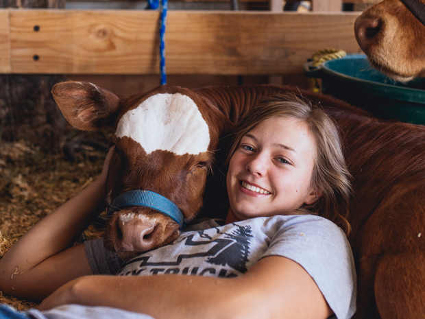 Young 4H Kid with her cow
