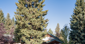 Street view of St. Luke's Rehabilitation: McCall