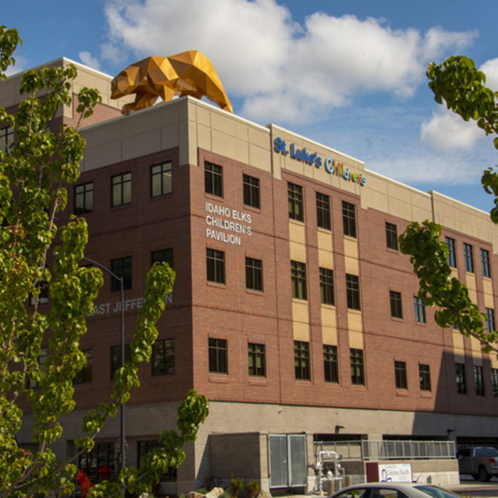 Street view of the Idaho Elks Children's Pavilion where St. Luke's Children's NICU Follow-up Clinic: Boise is located.