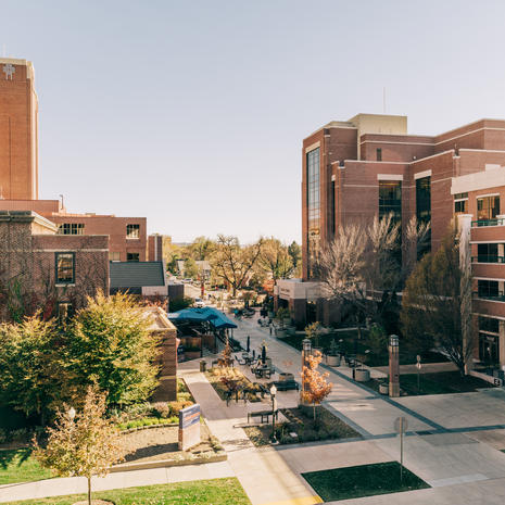 Bannock Street Corridor