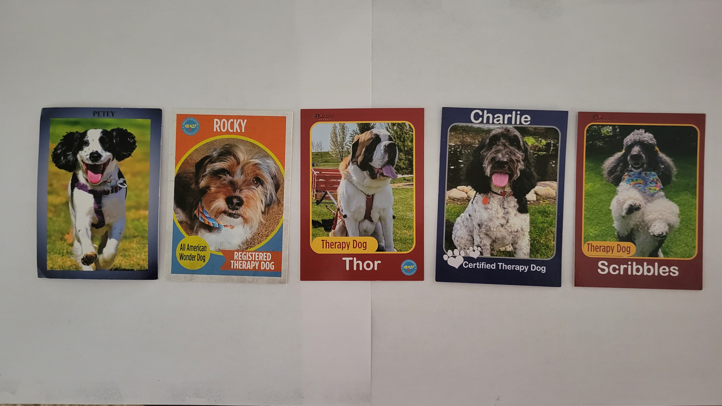  Display of St. Luke's therapy dog trading cards.