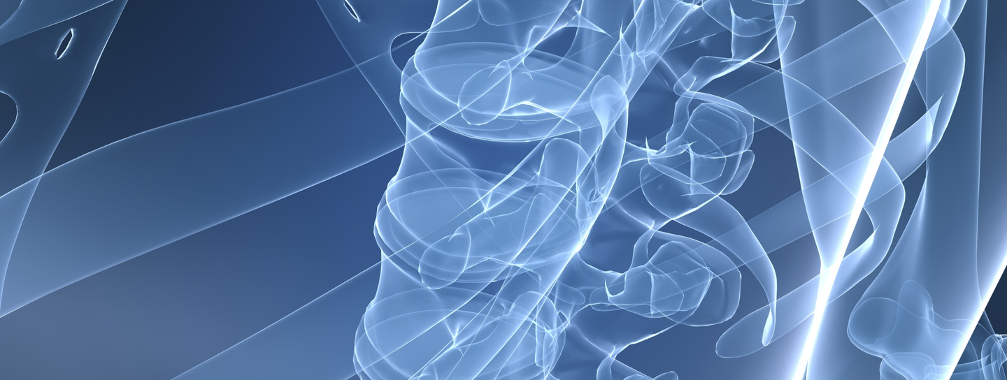 Illustration of spine