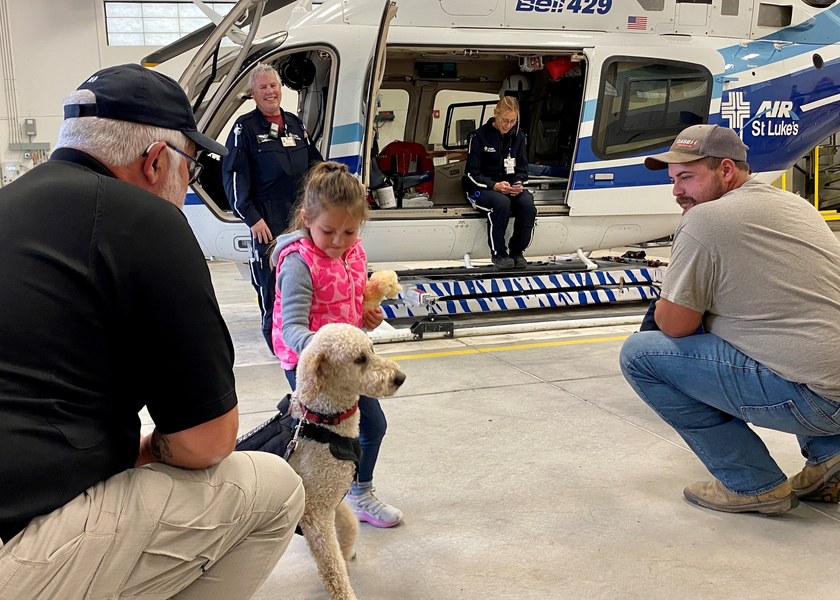 Little girl pets dog