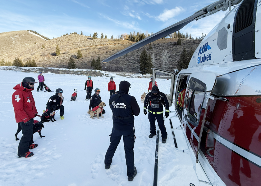 Group of dogs and trainers getting familiar with a helicopter. 