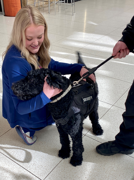  Bolt gets some affection while on the job.