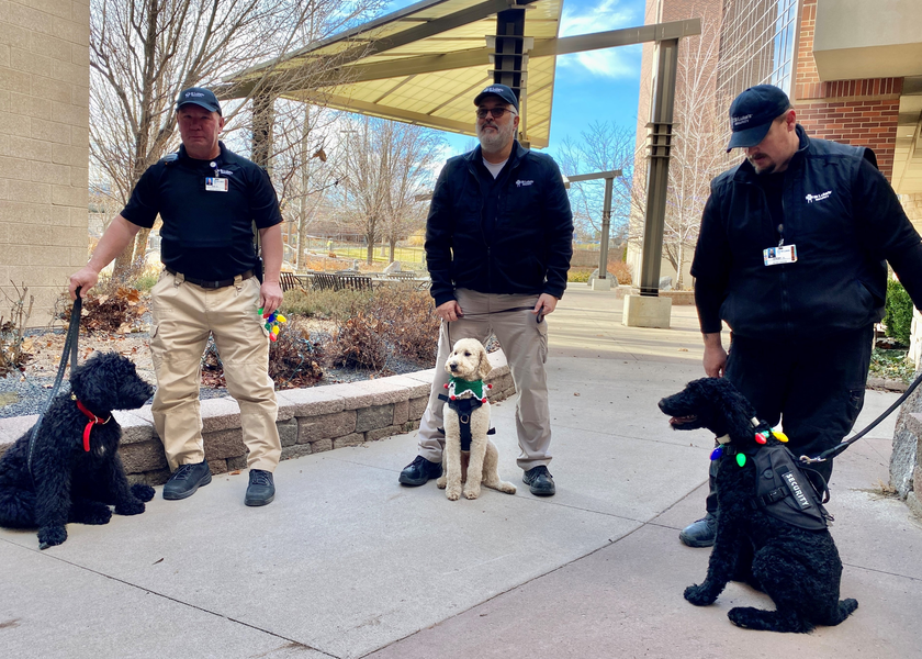 Security dogs on patrol