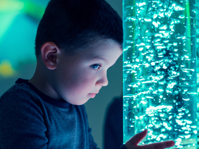young boy watches aquarium bubbles