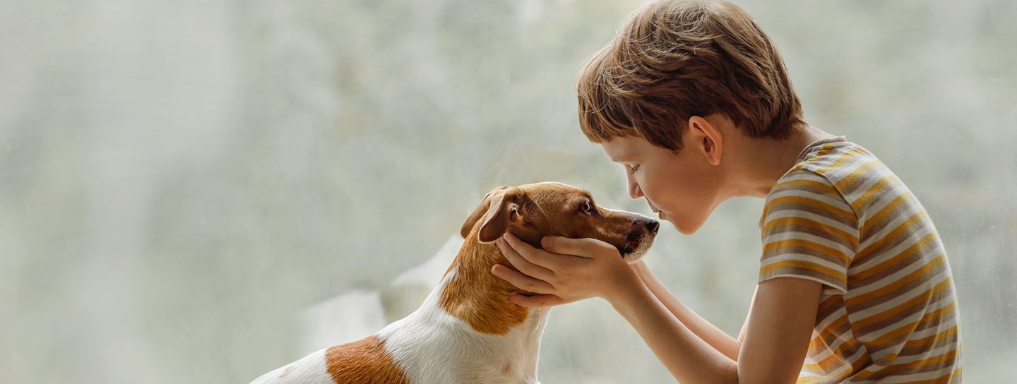 Child kisses the dog in nose on the window