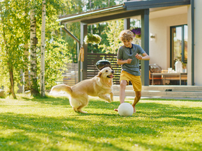 boy playing outside with his dog and a soccer ball