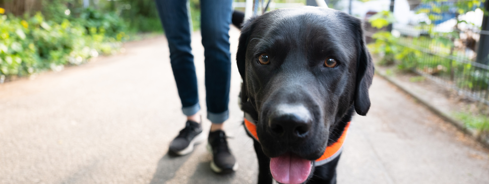 Man with a black dog.