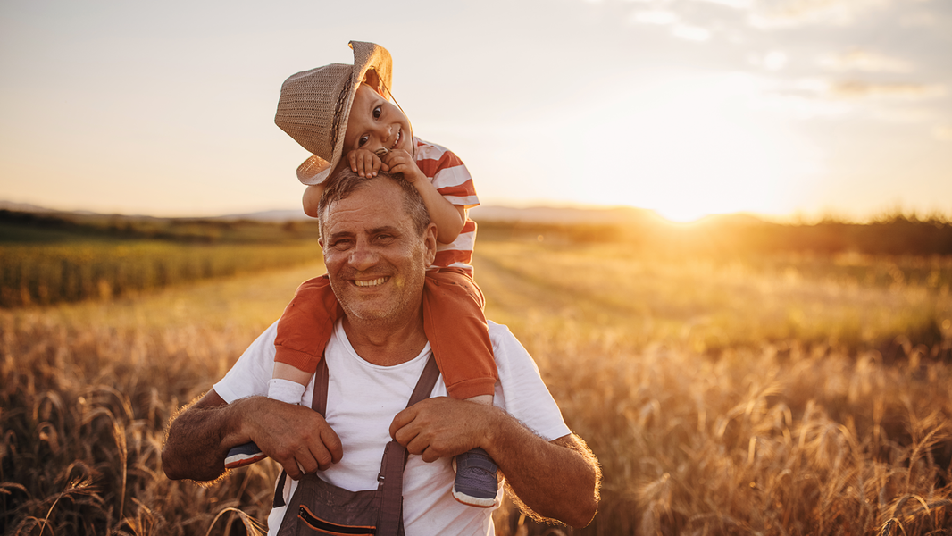 Grandfather and his grandson on the wheat field farm during the sunset