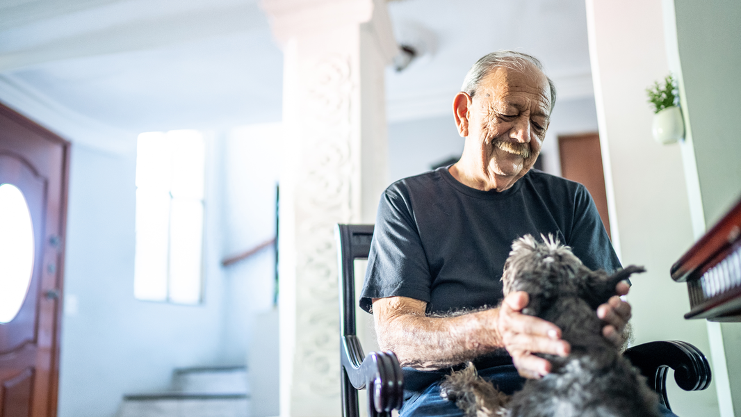 Elderly man plays with dog at home.