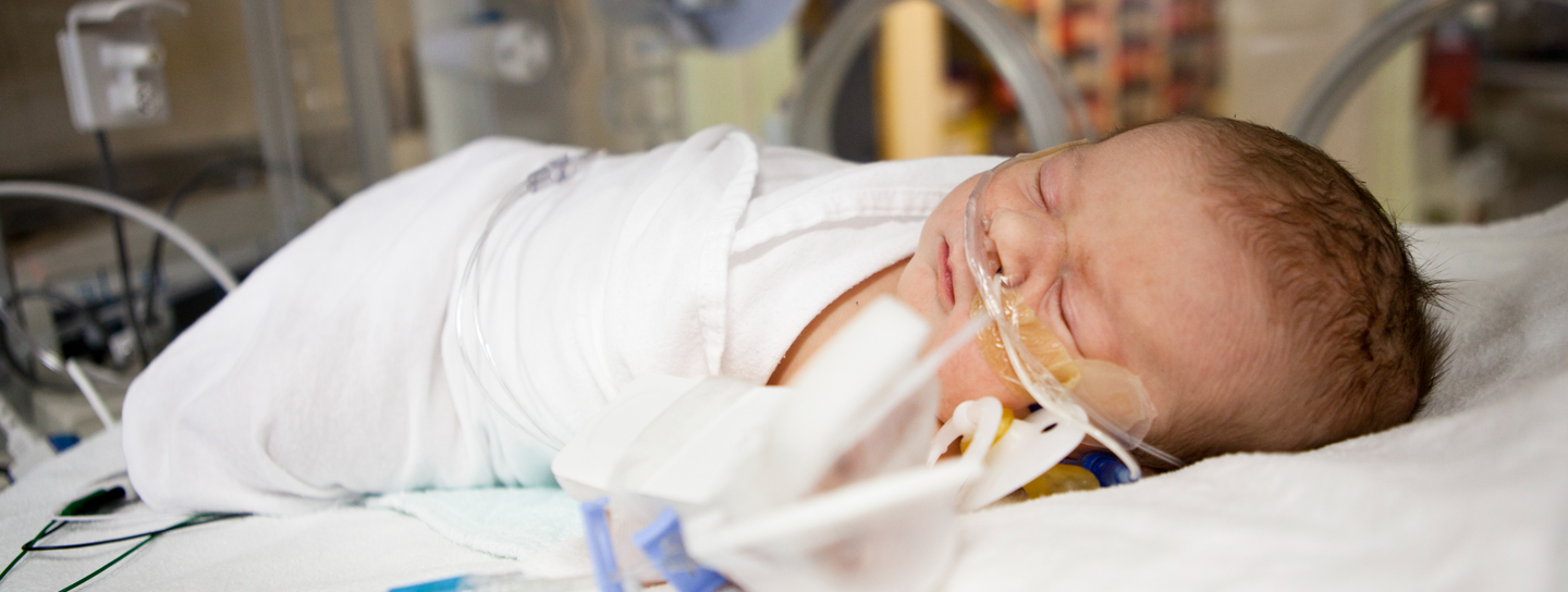 A newborn baby with breathing tubes in her incubator in NICU.