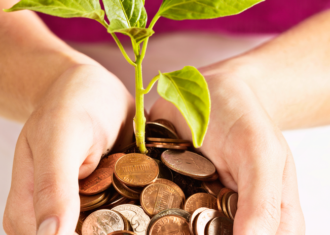 Hands holding pennies with a plant in the center.