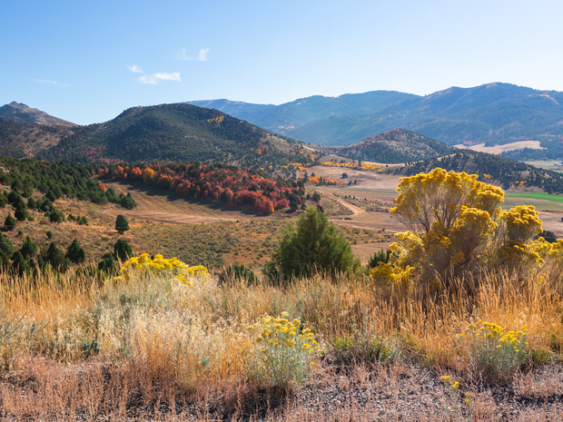 Foothills in Idaho