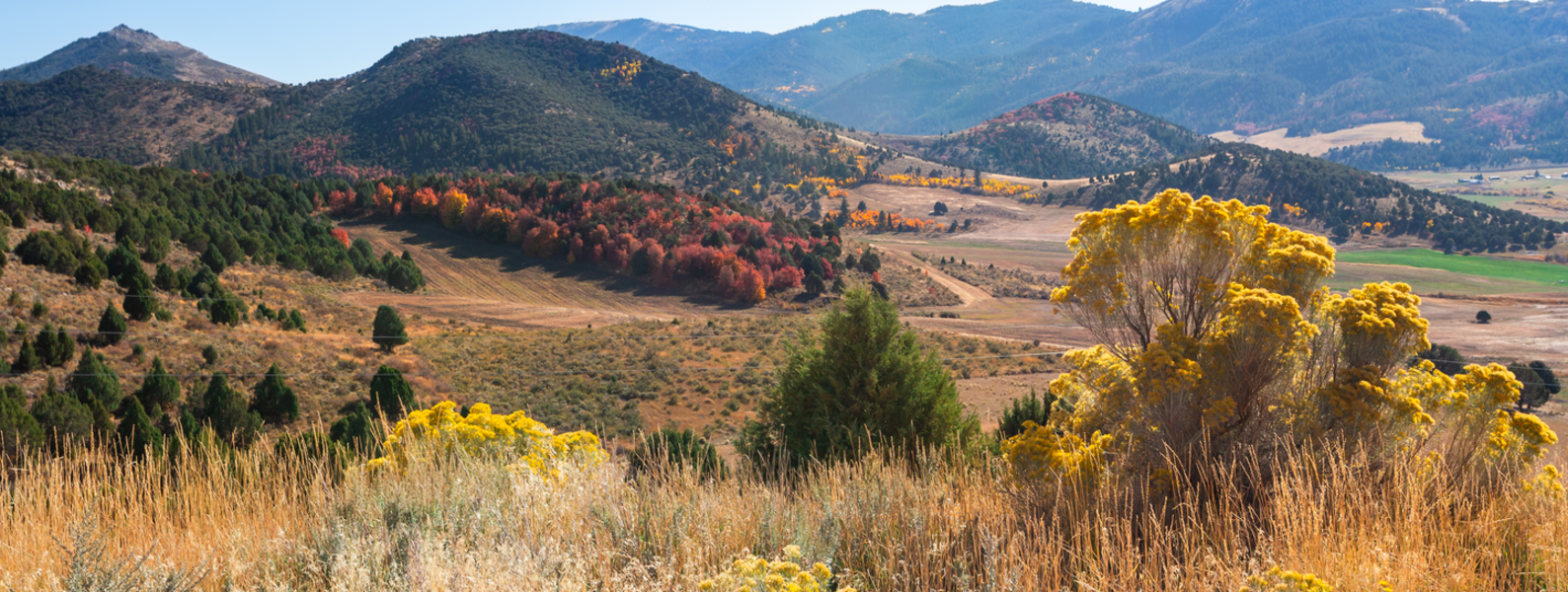 Foothills in Idaho