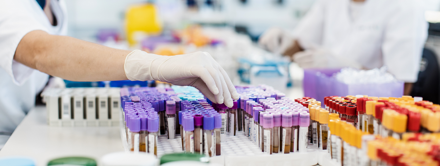 Scientists working in the laboratory