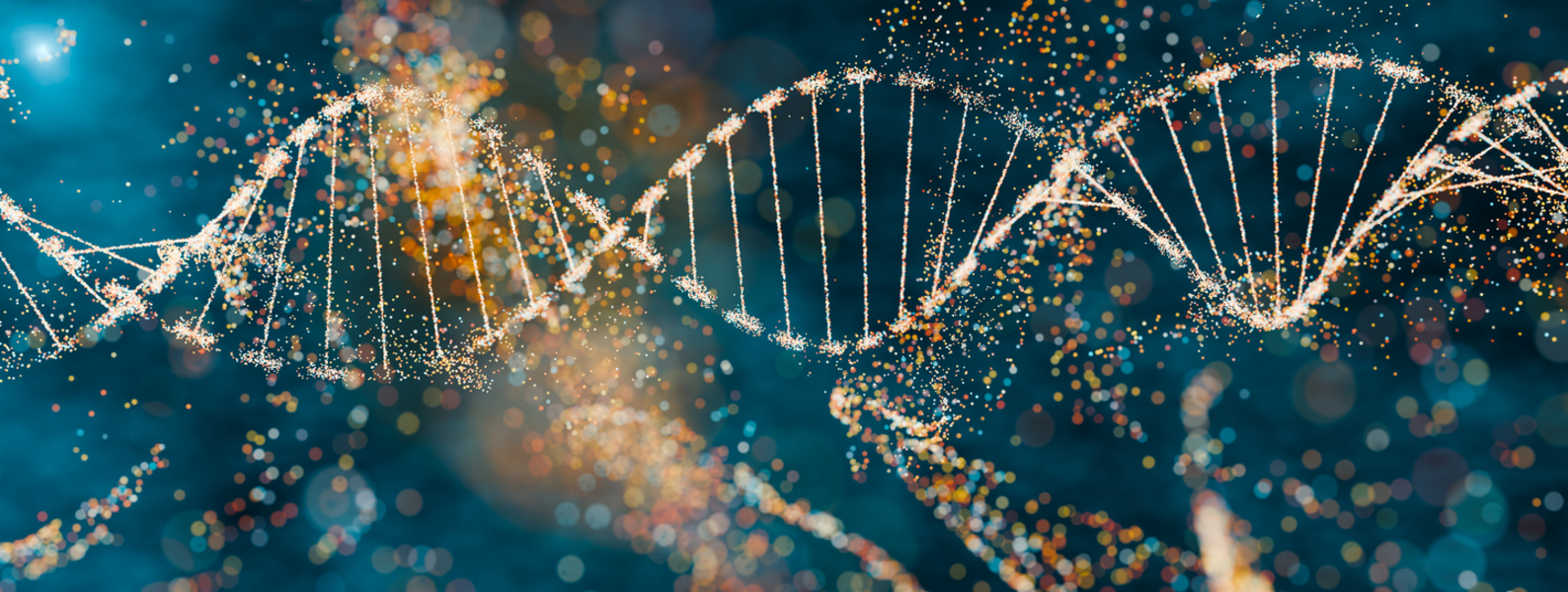 A computer rendering of DNA