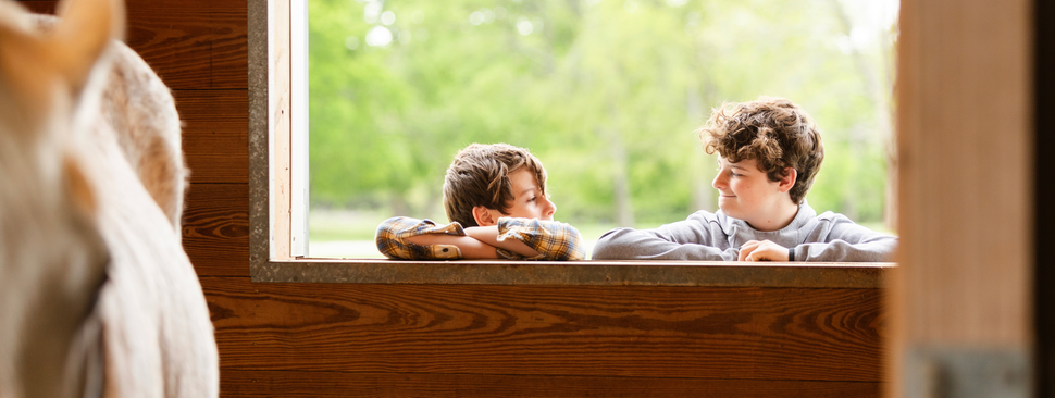 Two boys looking into a barn