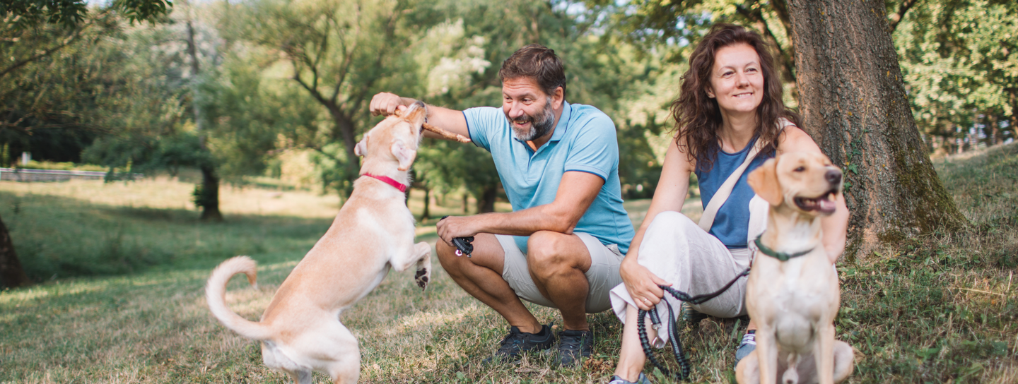 Couple in the park playing with two dogs
