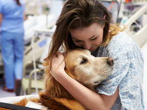 Female patient hugging a therapy Dog in a hospital 