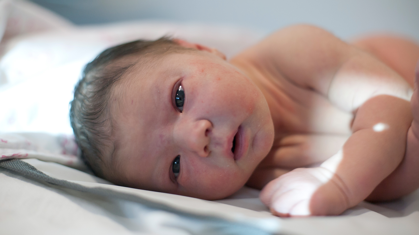 Newborn infant in the NICU