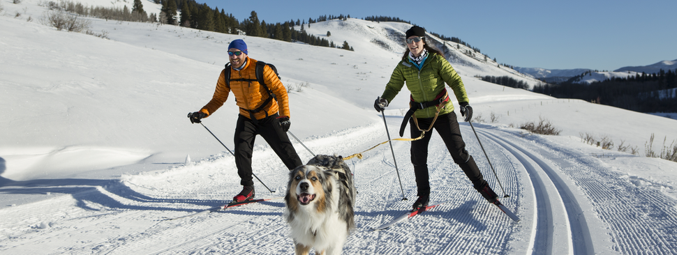 A couple skiing with their dog.