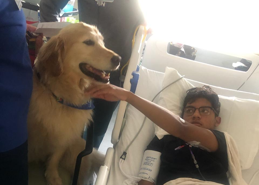 Yandell plays with a therapy dog