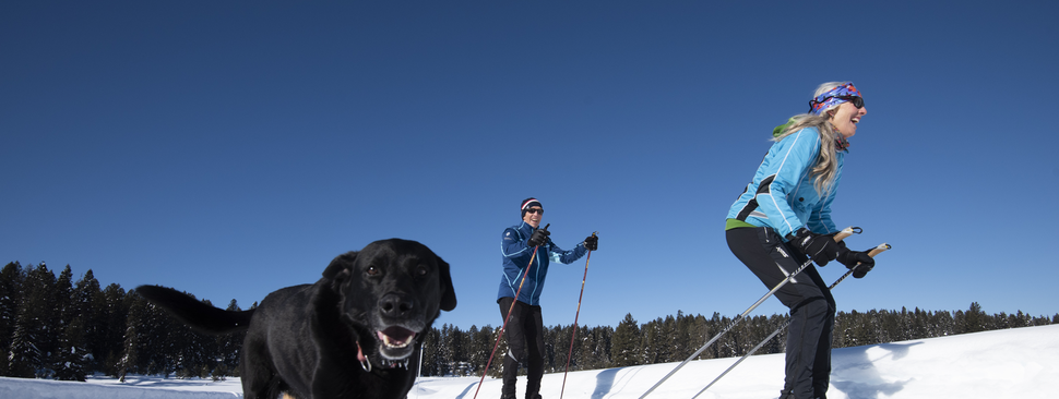 View of the lake and mountains in McCall.