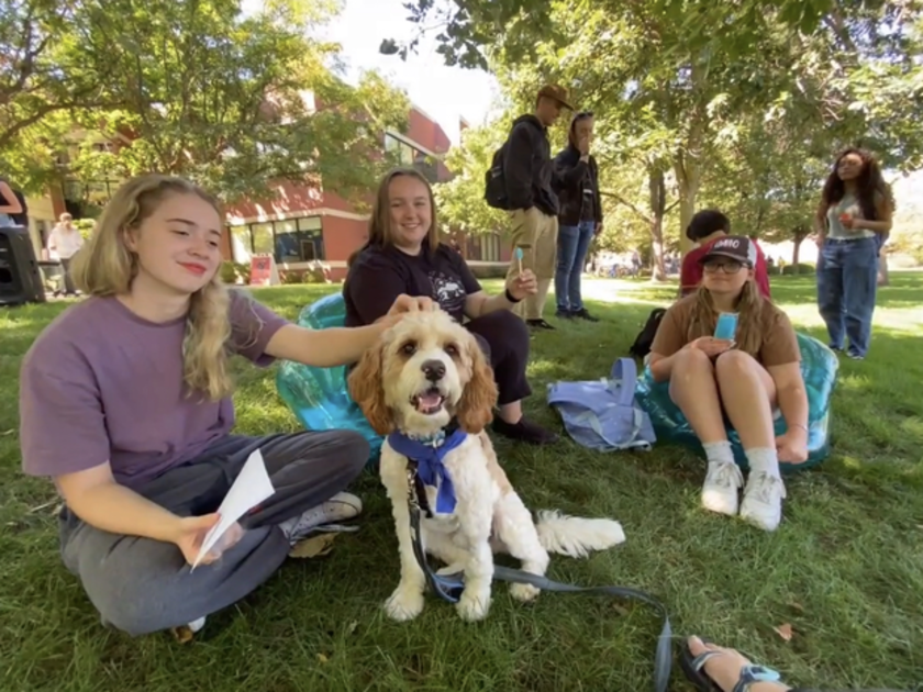 BSU students hang out with therapy dogs.