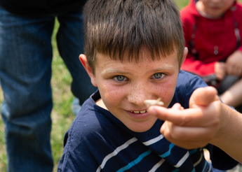 Young boy holds grasshopper