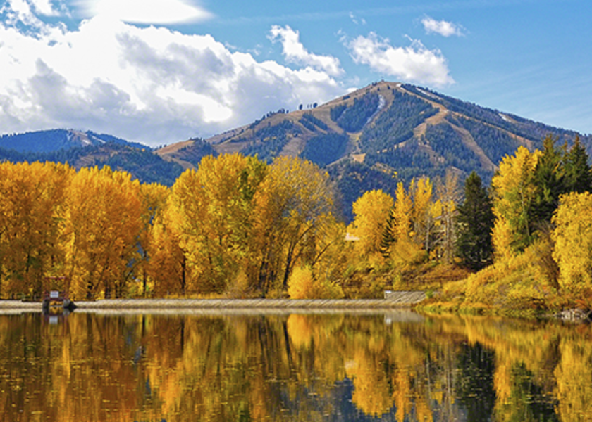 Fall colors in the Wood River Valley