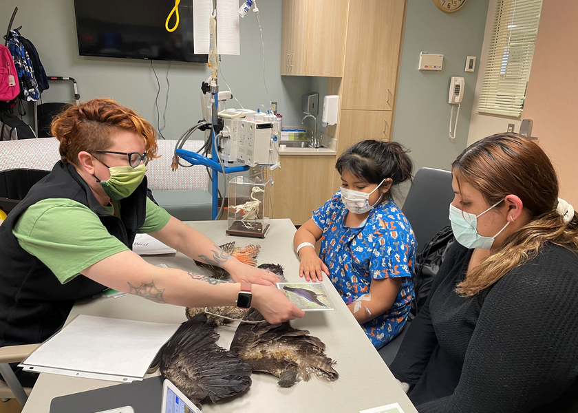  Three people sit at a table observing a bird