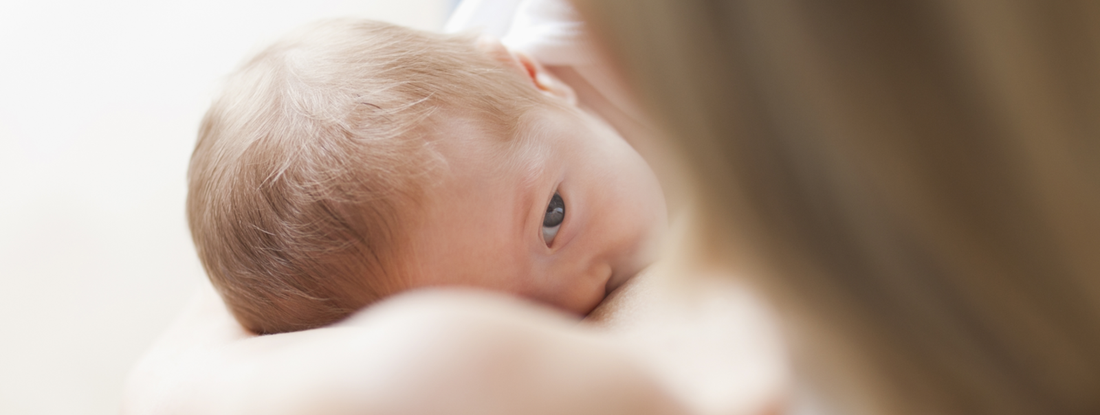 Feeding baby looks up at mother.