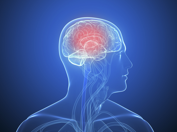 14th Annual Concussion Symposium