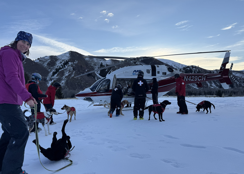 Dogs playing around the helicopter. 