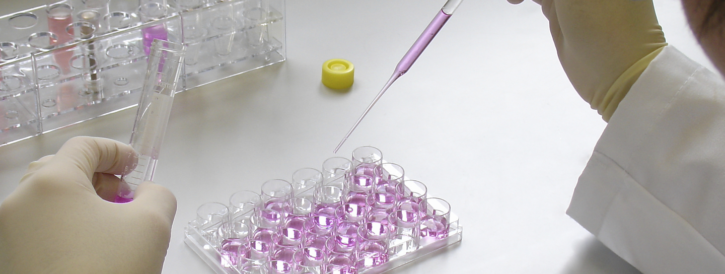 Testing cells