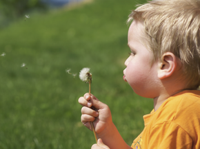 Boy blowing on a dandelion