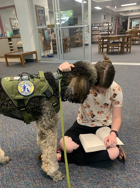  Young girl and dog together with a book.