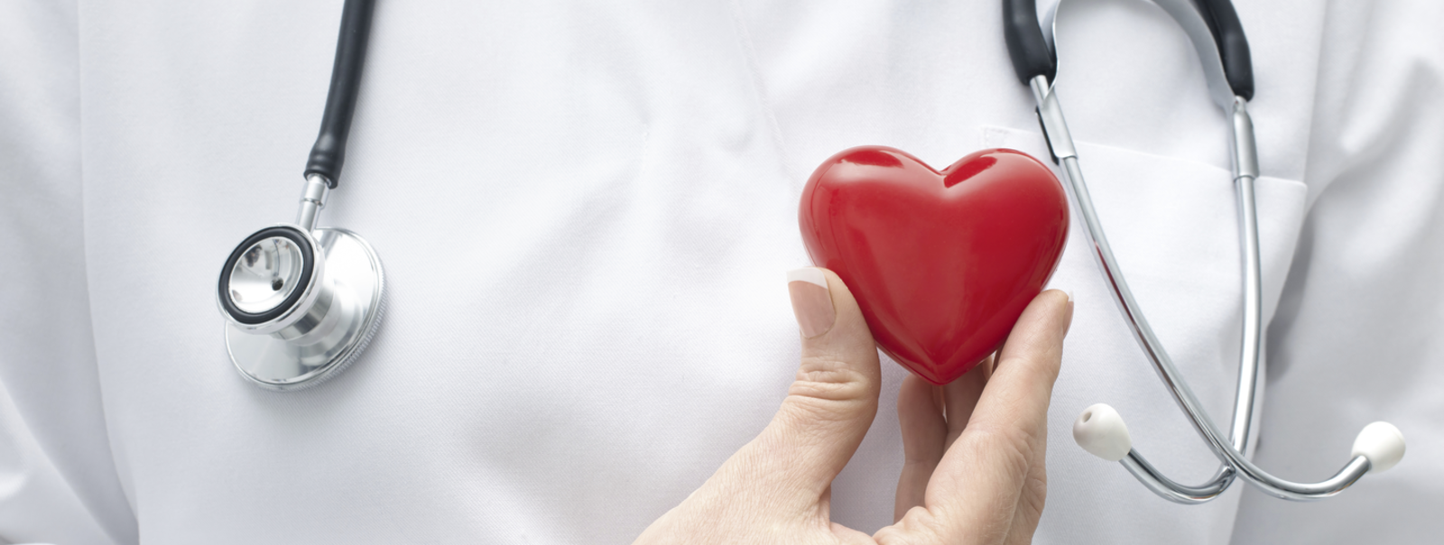 Doctor holding a plastic heart next to a stethoscope.